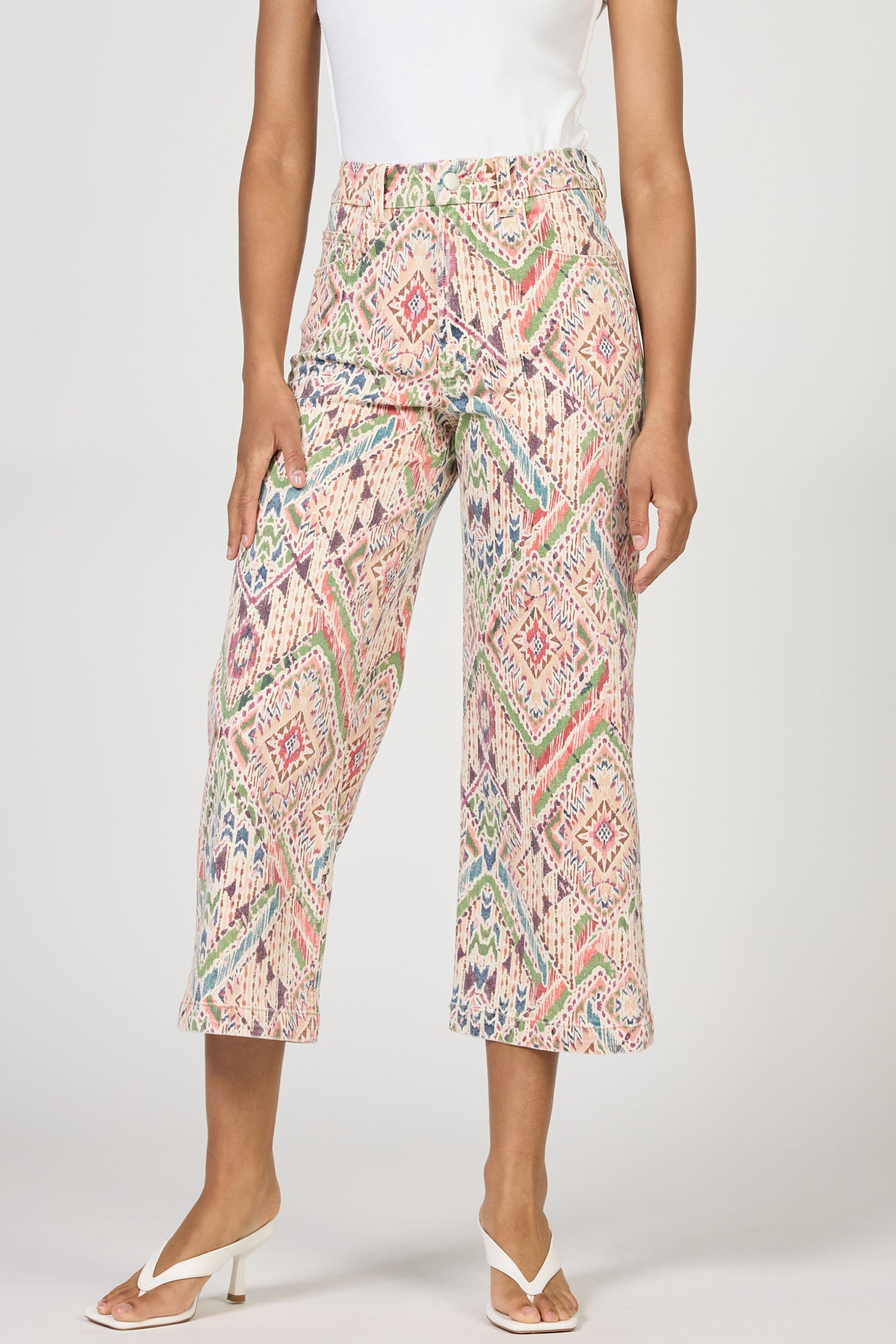 Audrey High Rise Jeans in Tropical Ikat by Dear John