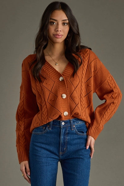 Rust Button Up Cardigan
